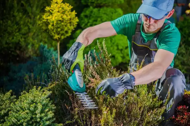 landscaping services Lutcher